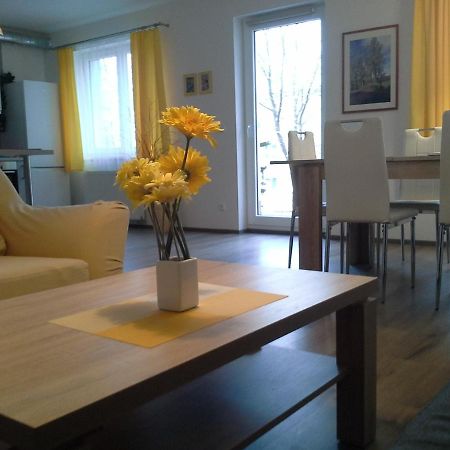 Rodinny Apartman Lucie V Blizkosti Wellness Hotelu Ve Frymburku Kültér fotó