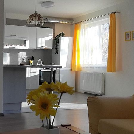 Rodinny Apartman Lucie V Blizkosti Wellness Hotelu Ve Frymburku Kültér fotó