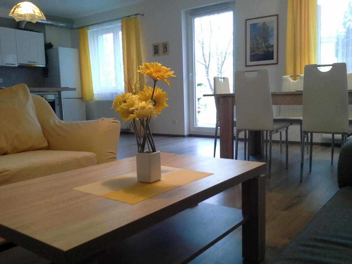 Rodinny Apartman Lucie V Blizkosti Wellness Hotelu Ve Frymburku Kültér fotó