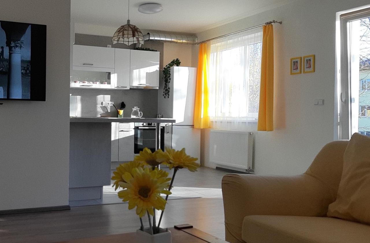 Rodinny Apartman Lucie V Blizkosti Wellness Hotelu Ve Frymburku Kültér fotó