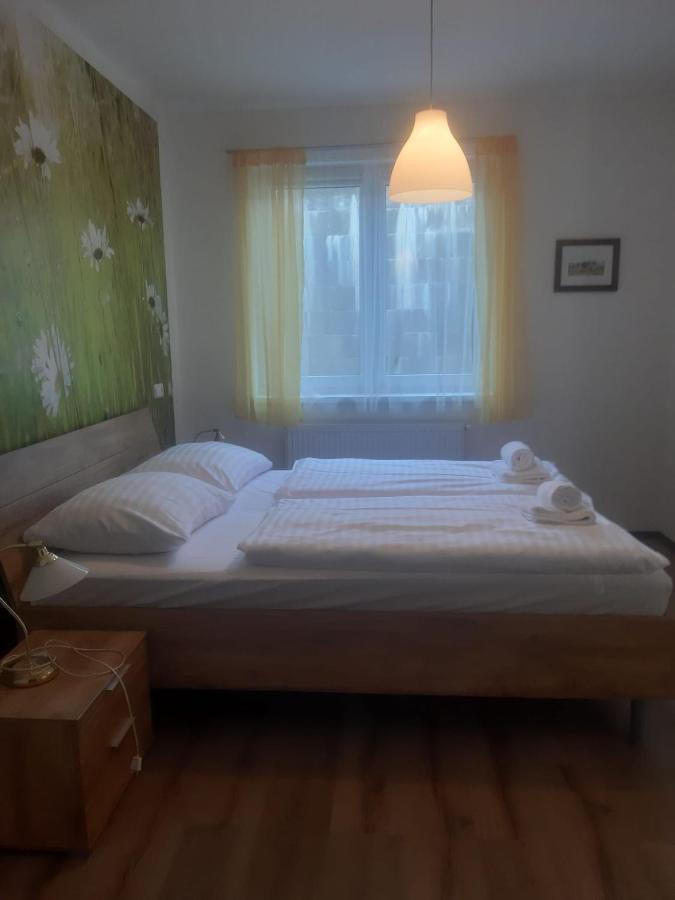 Rodinny Apartman Lucie V Blizkosti Wellness Hotelu Ve Frymburku Kültér fotó